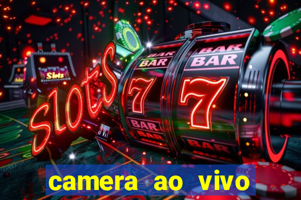 camera ao vivo terminal vila nova cachoeirinha